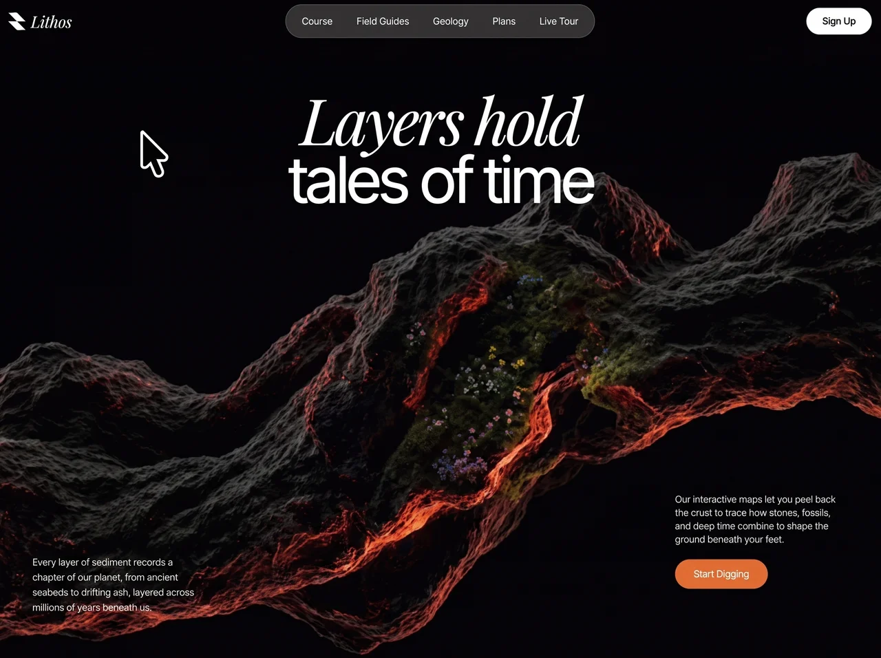Interactive Discovery