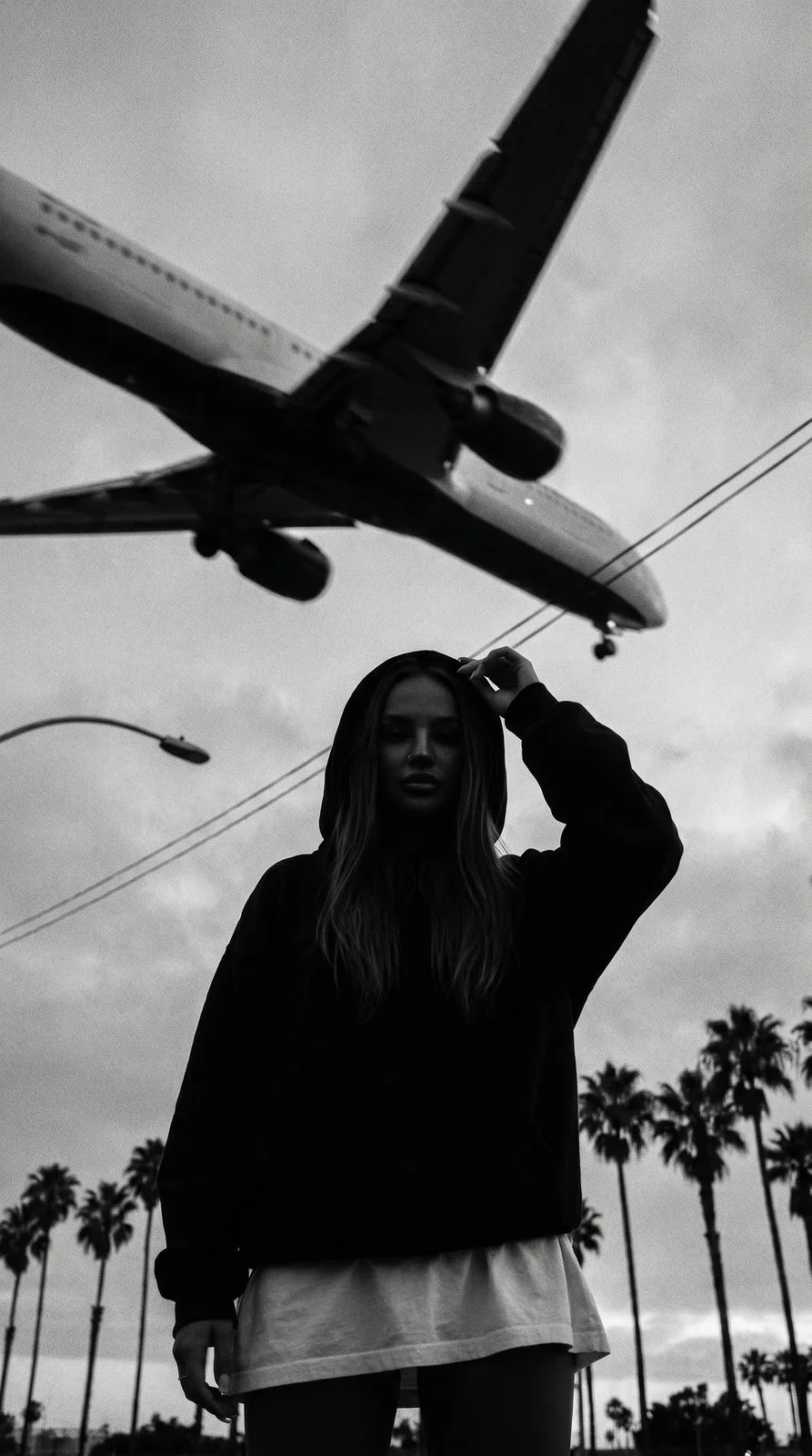 Monochrome Aviation Silhouette